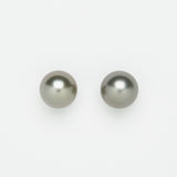 Premier - 12mm Gray ピアス/イヤリング