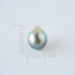 Select Pearls - Tahitian pearl