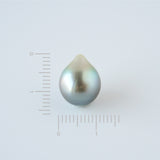 Select Pearls - Tahitian pearl