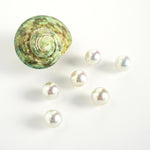 Akoya pearl Earrings