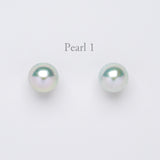 Akoya pearl Earrings