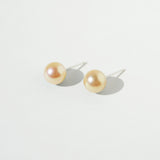 Akoya pearl Earrings petit